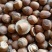 熟榛子，大榛子，自己家大榛子平欧榛子批发榛子原味榛子货源