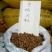 铁岭大榛子香熟榛子，手拍开口榛子产地，原味山榛子，新榛子