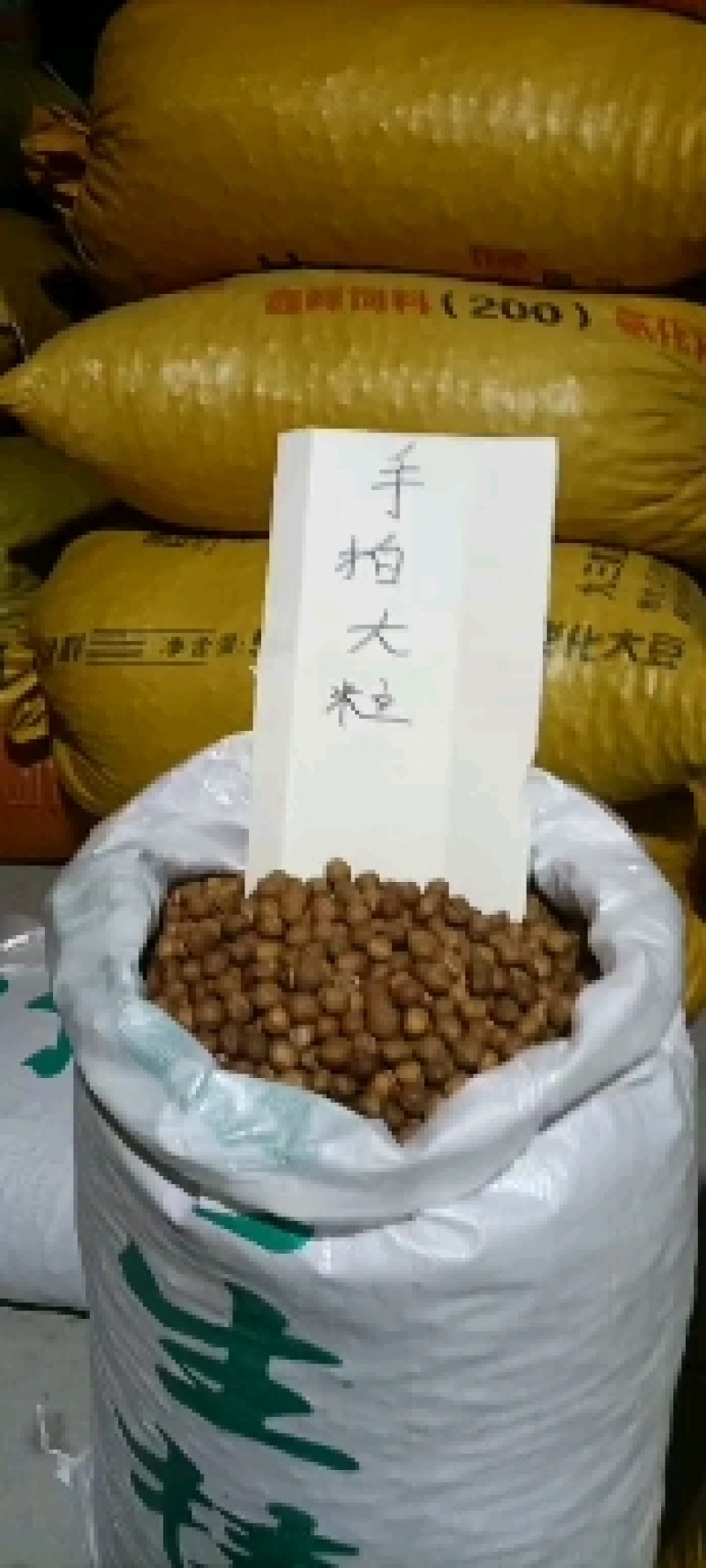 铁岭大榛子香熟榛子，手拍开口榛子产地，原味山榛子，新榛子