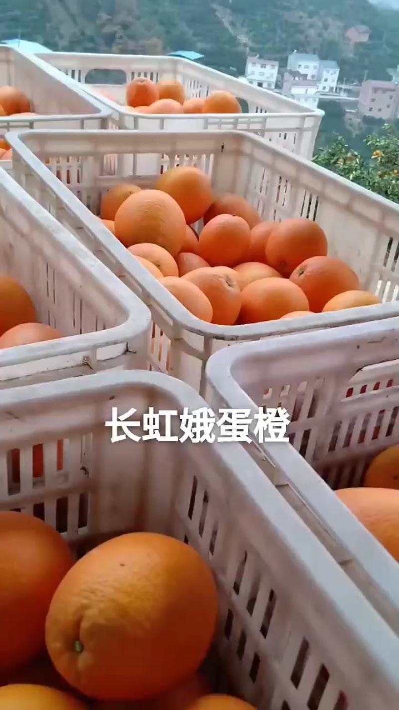 长虹脐橙是脐橙系列个头整体来说个头**的脐橙。长长红红
