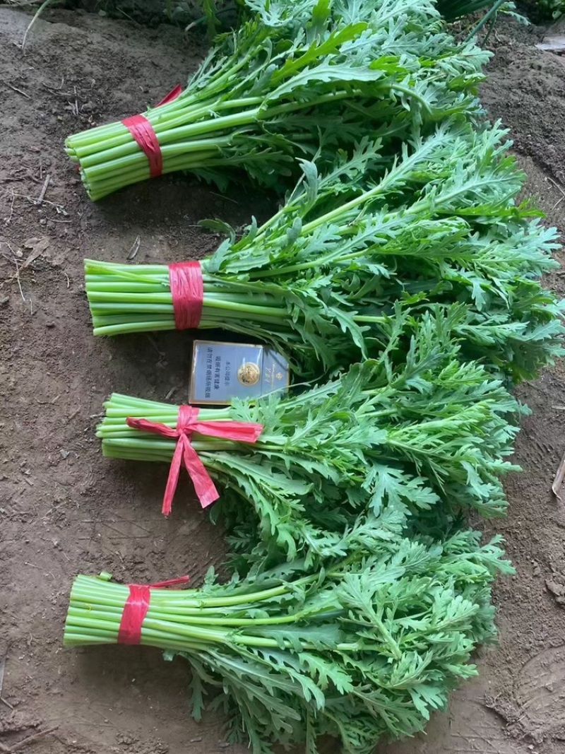 优质邯郸永年茼蒿大量供应，产地直供保证新鲜！