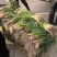 华卅区红根蒜苗大量上市欢迎各地客户视频看货订购