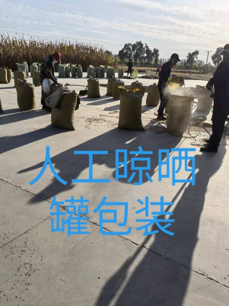 五常稻花香大米自产自销