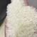 东北大米黑龙江大米现磨鲜米支持一件代发包邮价