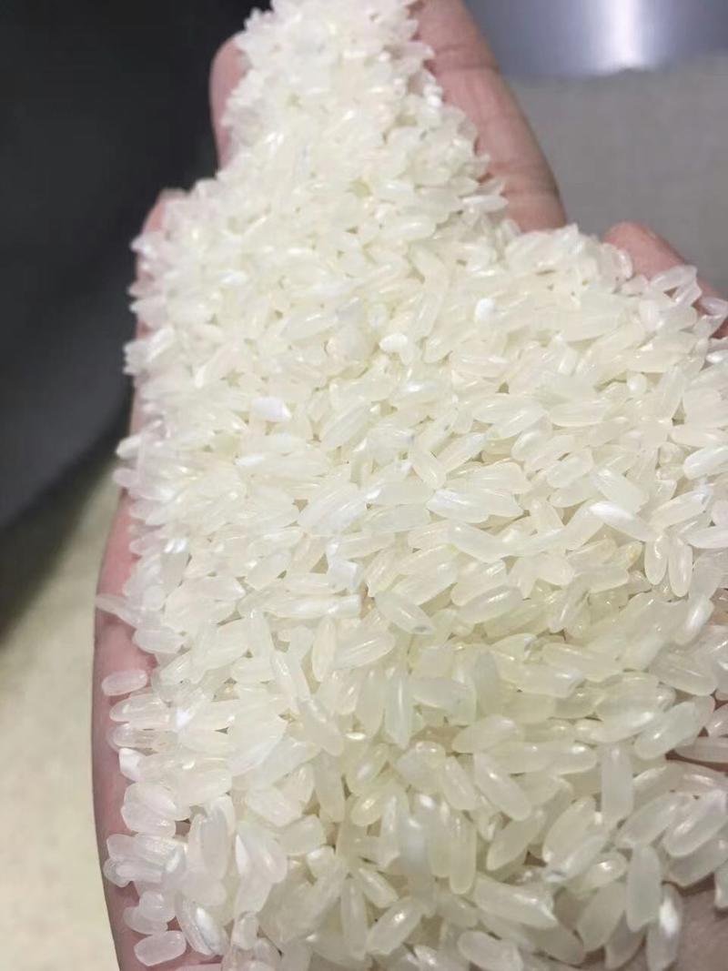 东北大米黑龙江大米现磨鲜米支持一件代发包邮价