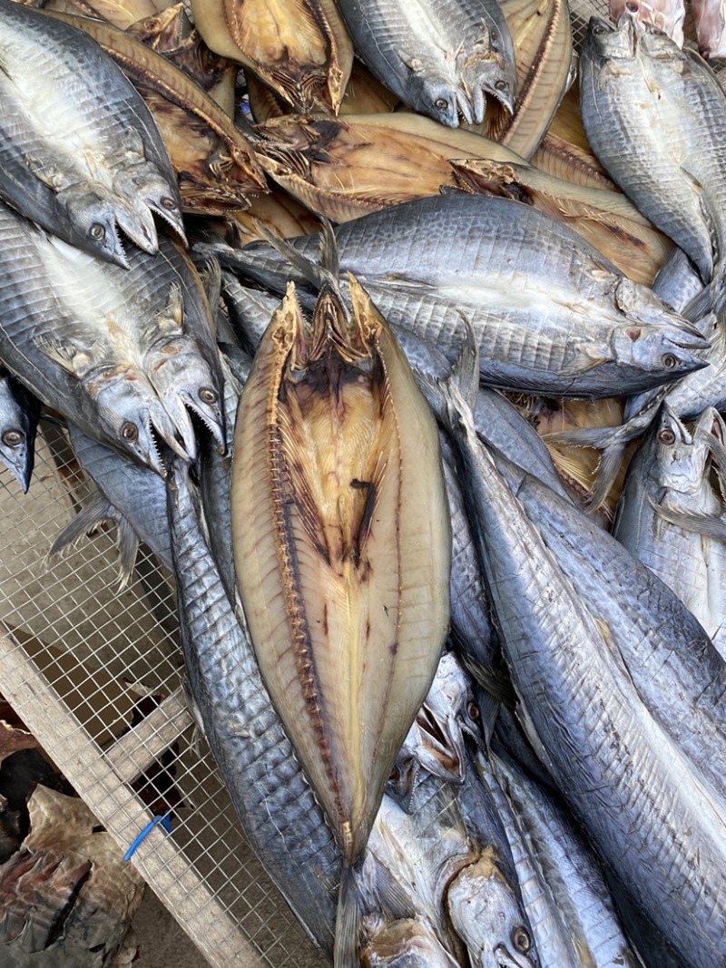 青岛本地甜晒淡干鲅鱼一卤鲜鲅鱼干马鲛鱼干干货