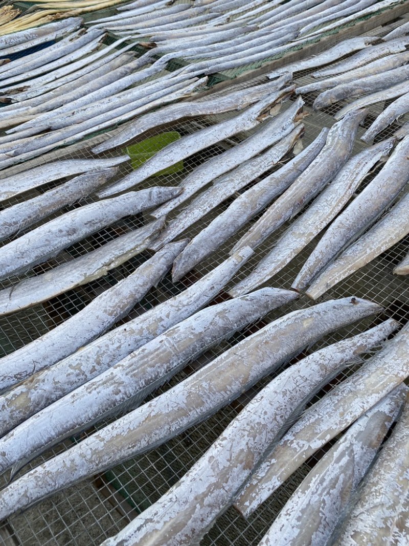 青岛本地甜晒淡干鲅鱼一卤鲜鲅鱼干马鲛鱼干干货