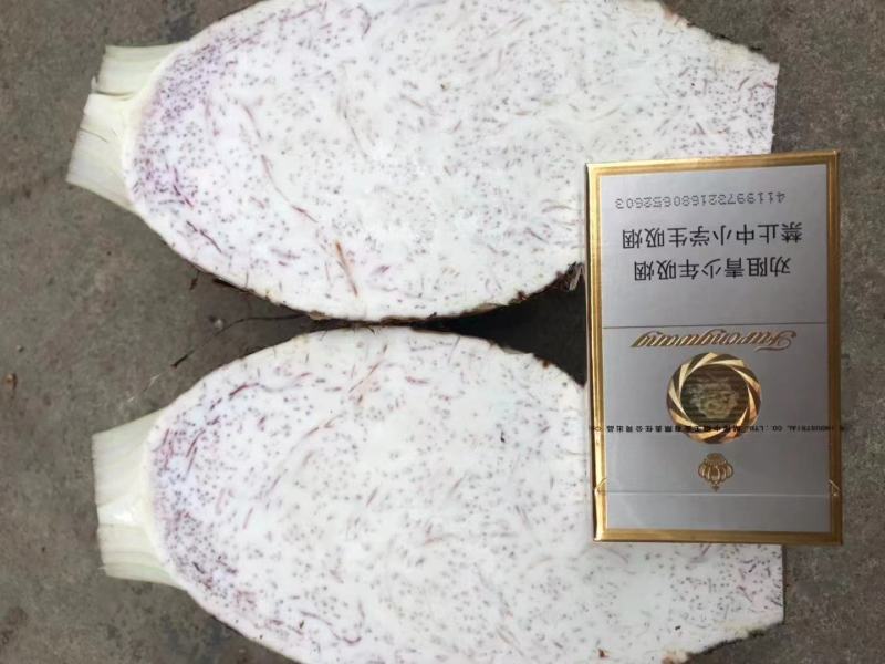 香芋