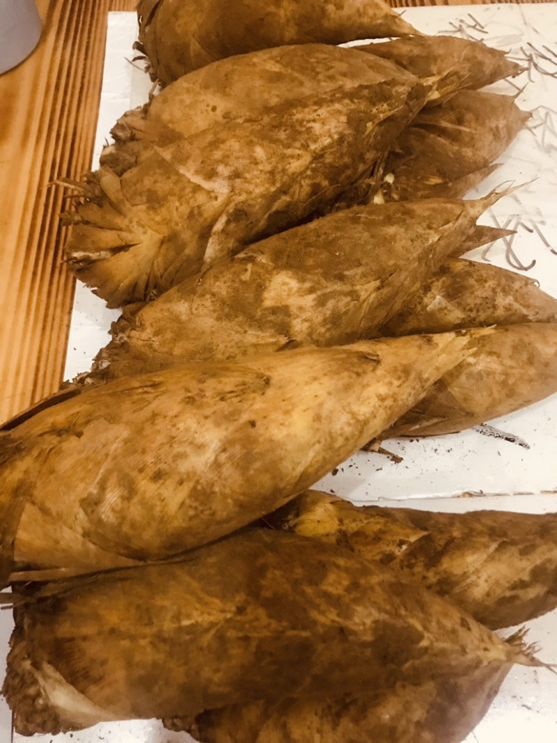 广西桂林龙胜高山冬笋新鲜现挖现发脆嫩鲜美可口美味