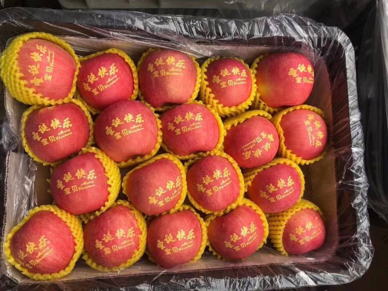 辽宁苹果，产地批发印字苹果，全国发货，质量好价格便宜