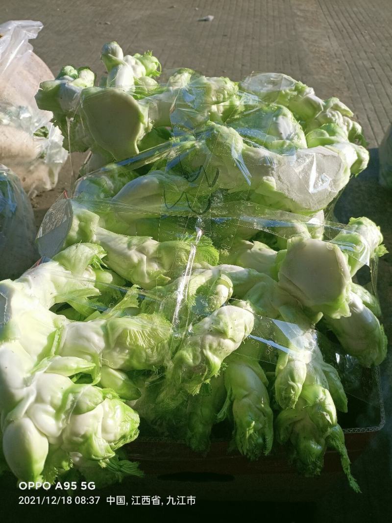 新鲜儿菜…量大从优