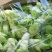 新鲜儿菜…量大从优