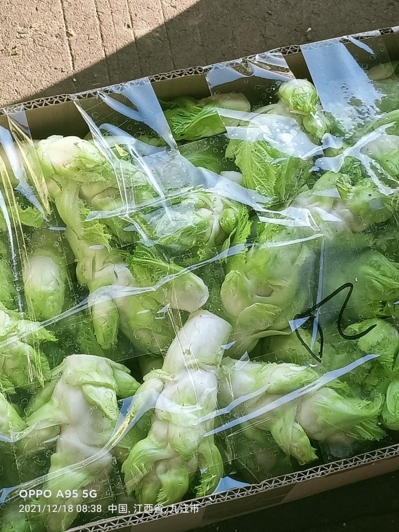 新鲜儿菜…量大从优