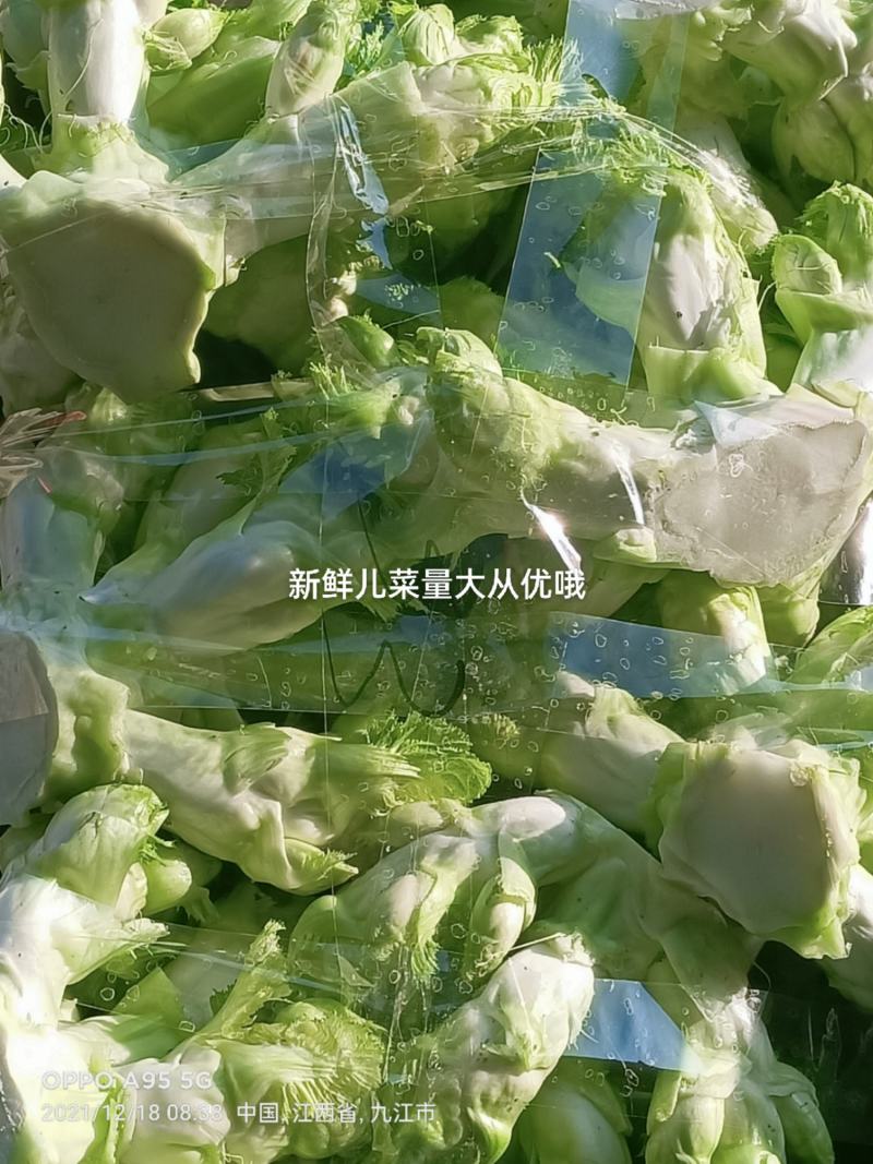 新鲜儿菜…量大从优
