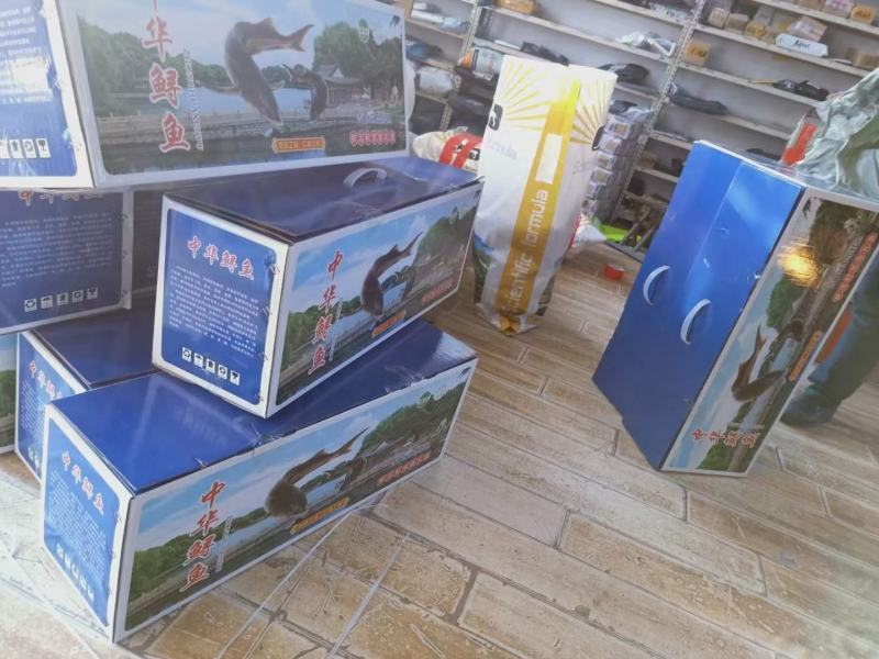 鲟鱼，产地直发，量大从优，货品保障，欢迎老板前来采购