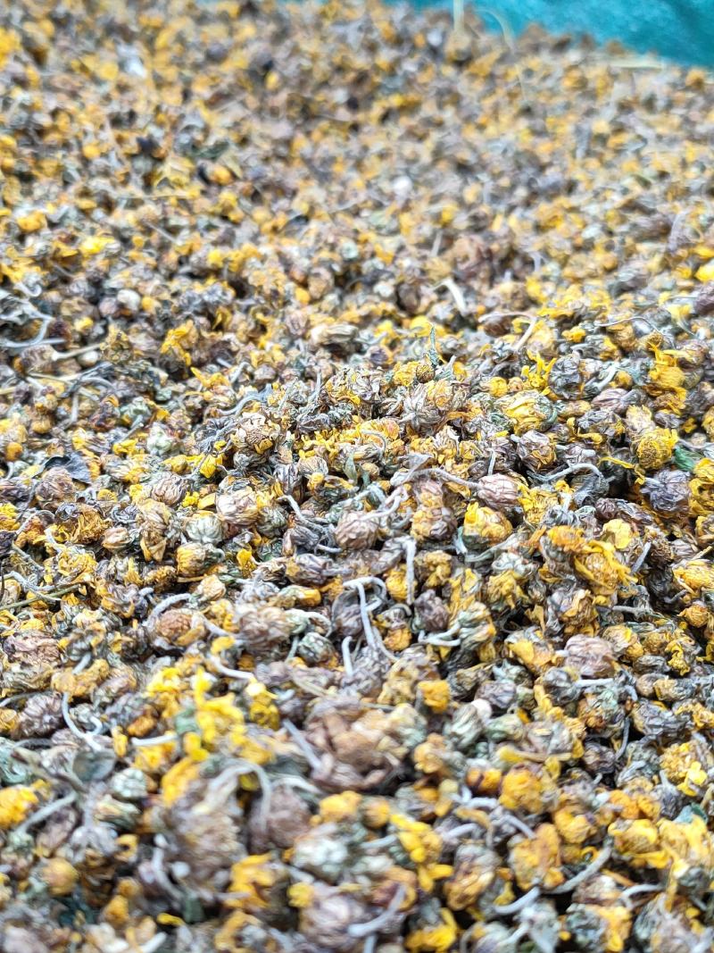 野菊花95%的颗粒。需要的老总放心购买。