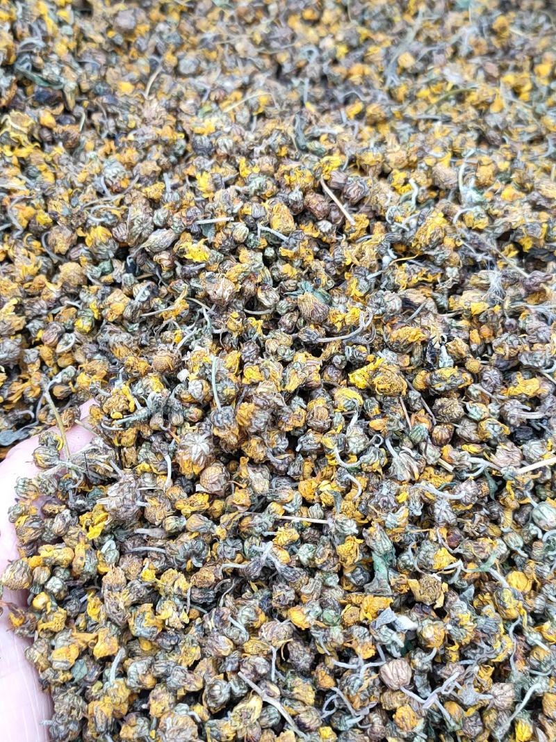 野菊花95%的颗粒。需要的老总放心购买。