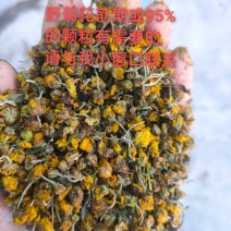 野菊花95%的颗粒。需要的老总放心购买。