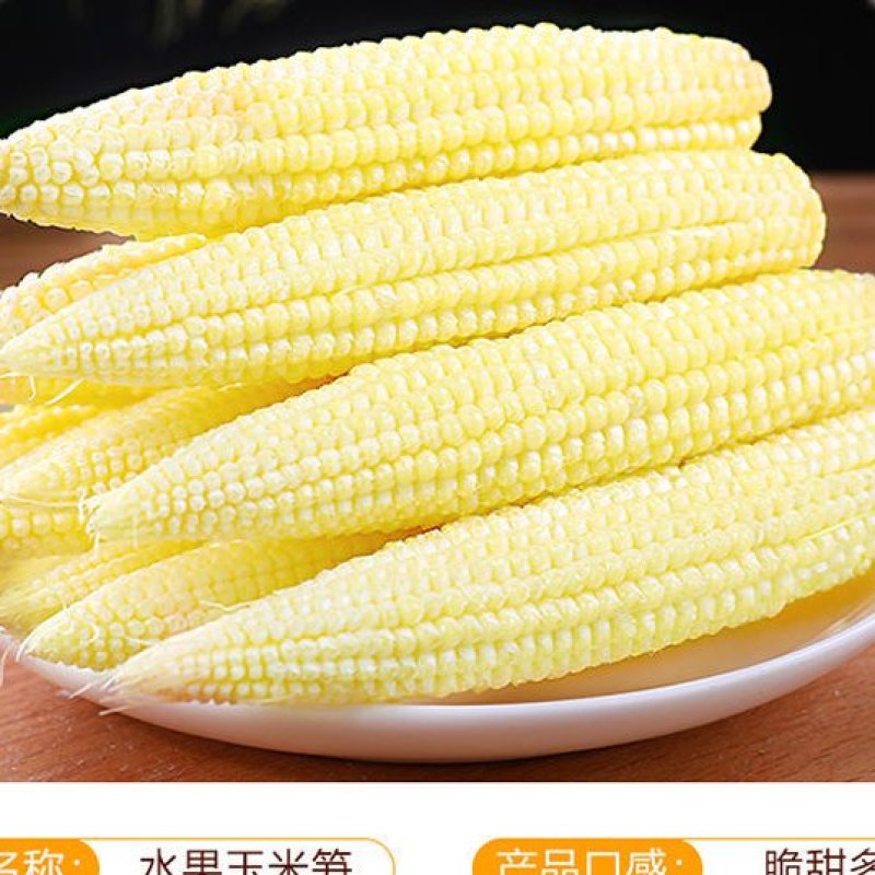 小玉米笋无农药新鲜蔬菜迷你玉米芯水果玉米棒籽沙拉食材包邮