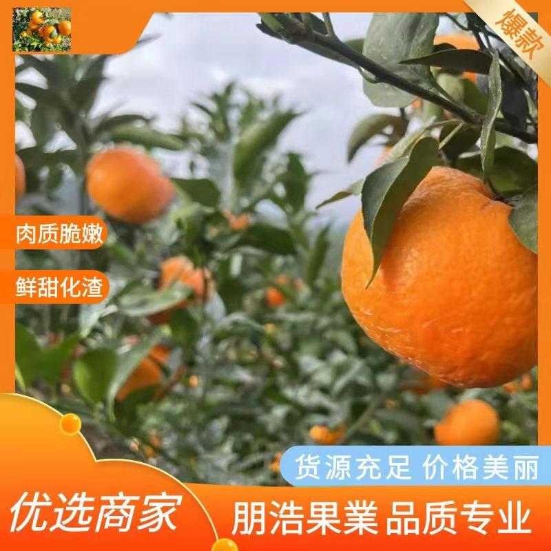 云南高原沃柑皮薄多汁化渣率高稳定供应品质保证