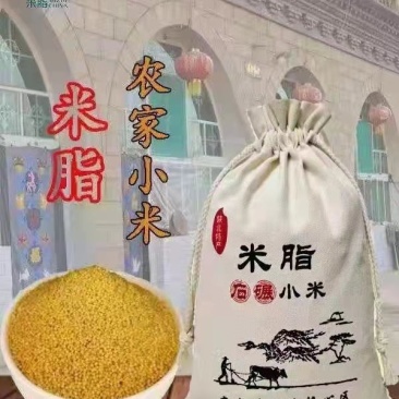 (电商合作)陕北米脂农家小米,米脂小米,一手货源,支持一