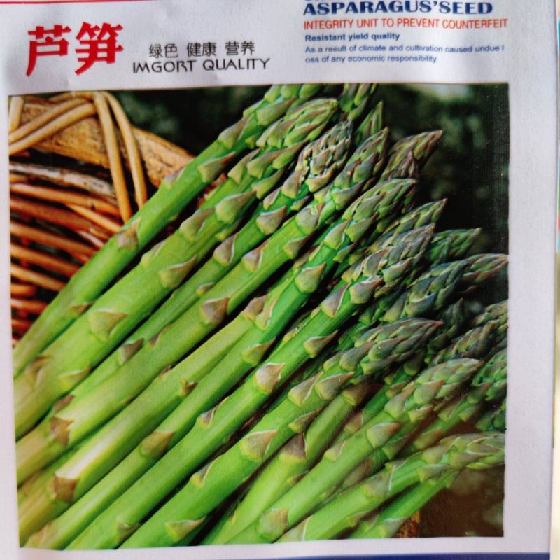 芦笋种子