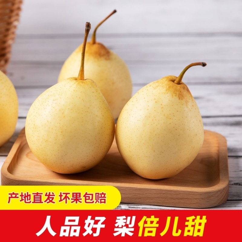 河北赵县精品鸭梨无坏果无黑心大量有货欢迎咨询