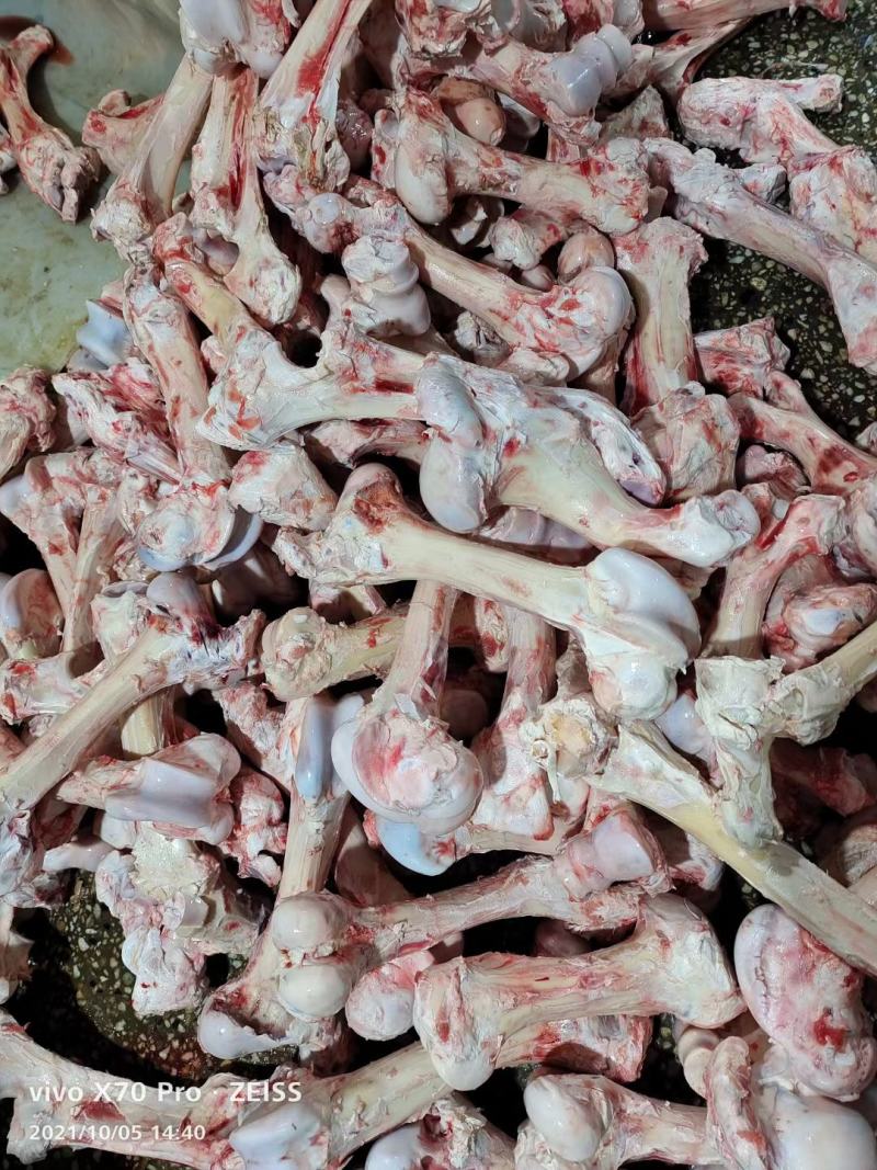 牛棒骨大量现货价格便宜质量保证有需要咨询