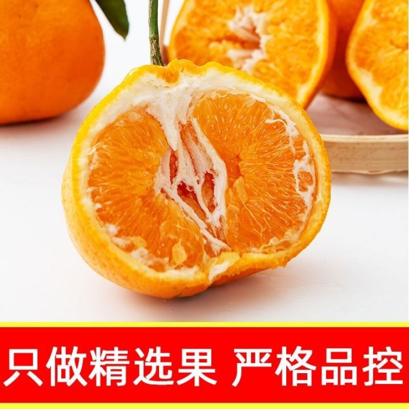 耙耙柑大量有货，基地直销一手货源量大从优，果园直销