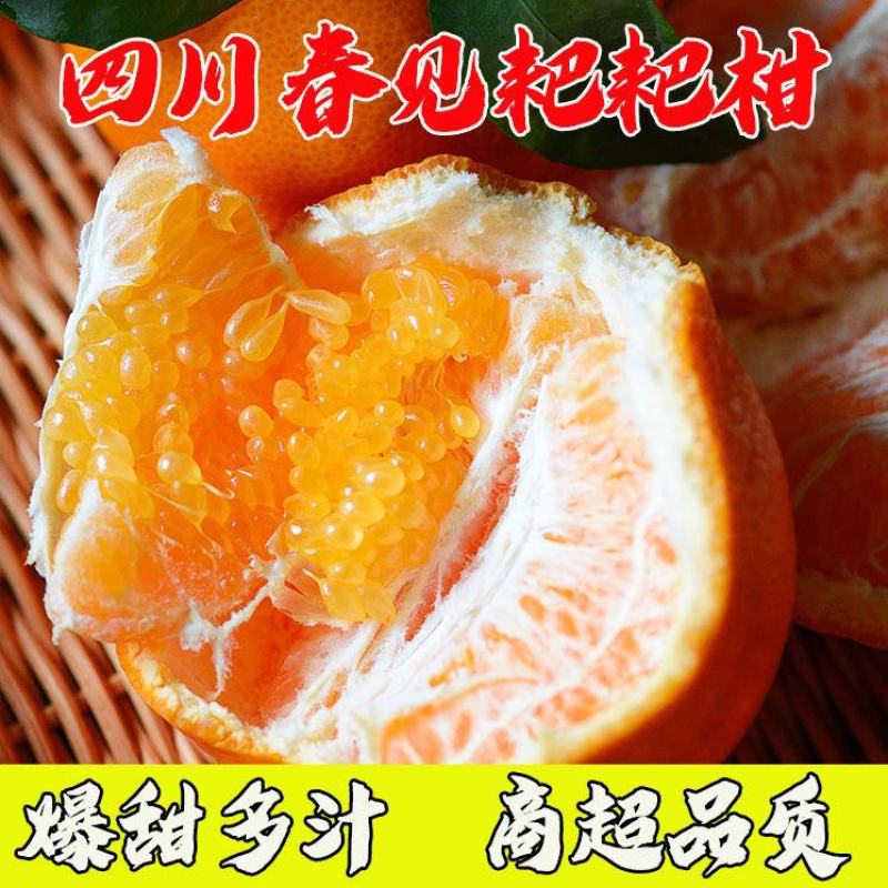 耙耙柑大量有货，基地直销一手货源量大从优，果园直销