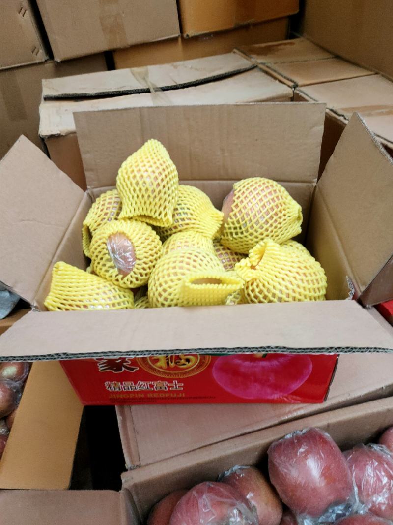 红富士冰糖心苹果大量现货供应，对接电商团购秒杀