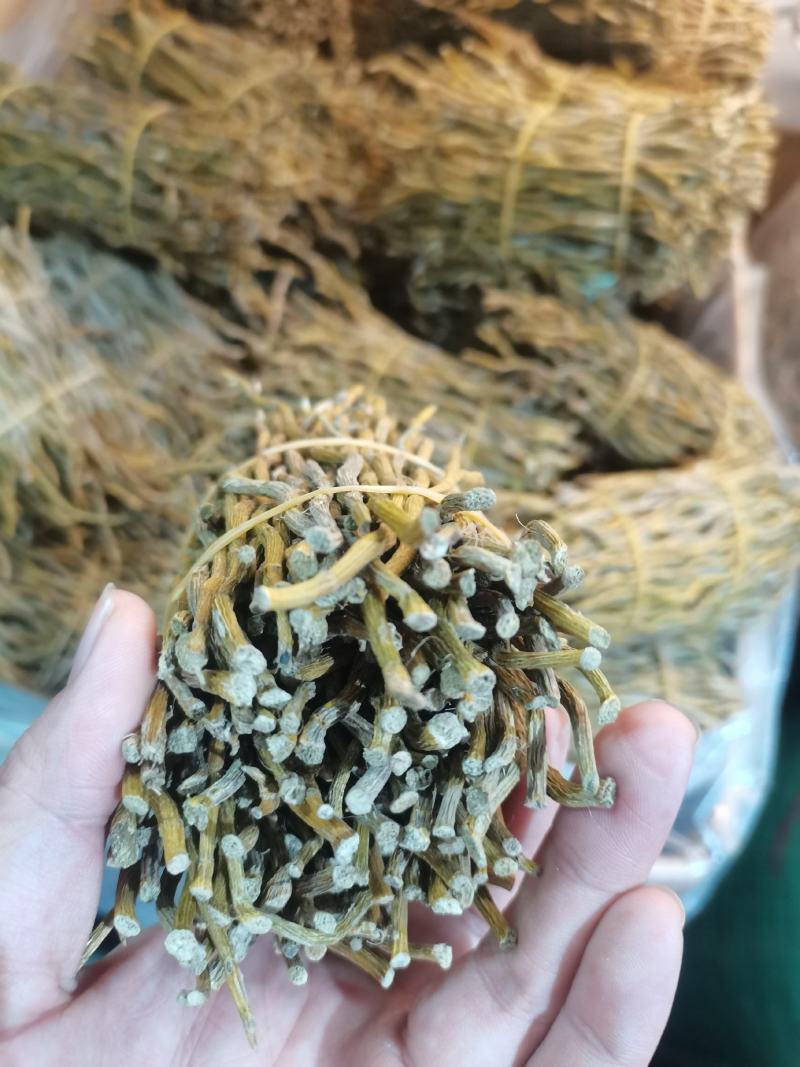 石斛条干条铁皮石斛条铁皮石斛胶质好胶质好