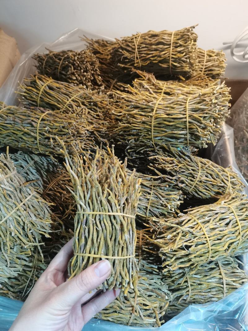 石斛条干条铁皮石斛条铁皮石斛胶质好胶质好