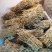 石斛条干条铁皮石斛条铁皮石斛胶质好胶质好