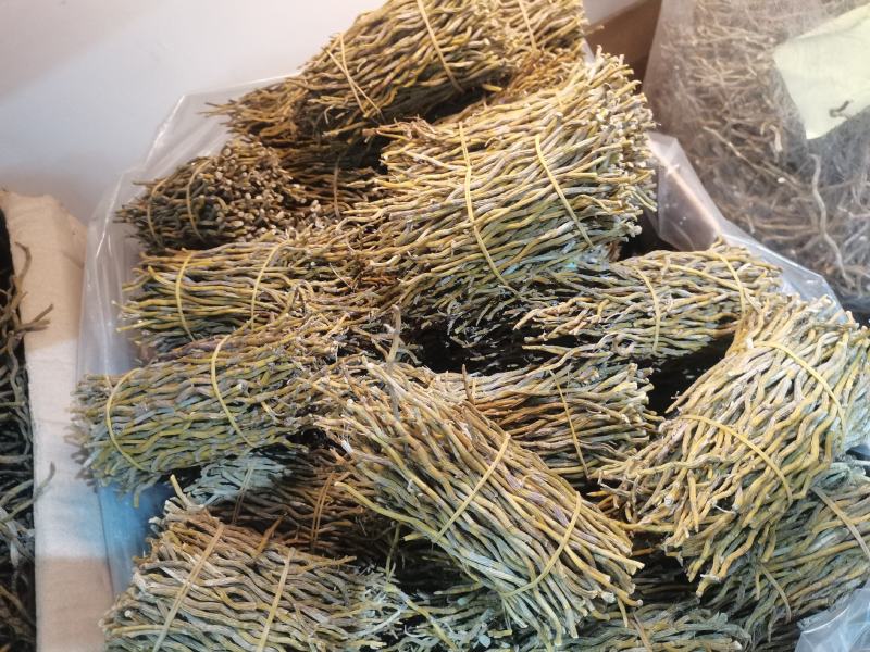 石斛条干条铁皮石斛条铁皮石斛胶质好胶质好
