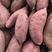 紫薯产地一手货源一件代发微商团购超市市场批发全国发货