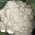 松花菜大量供应、产地直销、质量保证、支持各种包装