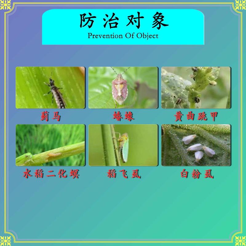 20%呋虫胺稻飞虱白粉虱蓟马二化螟三化螟盲蝽蟓蚜虫青虫
