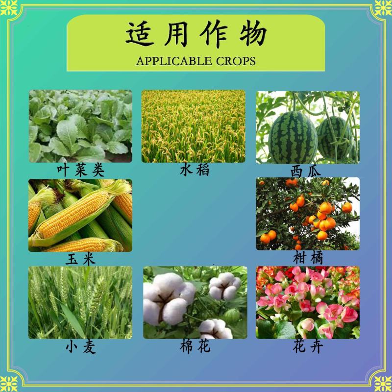 20%呋虫胺稻飞虱白粉虱蓟马二化螟三化螟盲蝽蟓蚜虫青虫