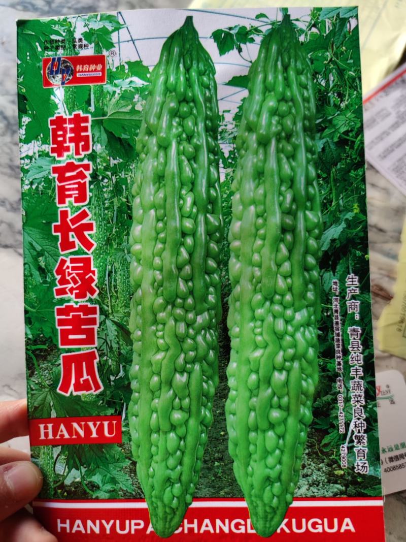 韩育长绿苦瓜种子，果色油绿光滑，单果重2到3斤
