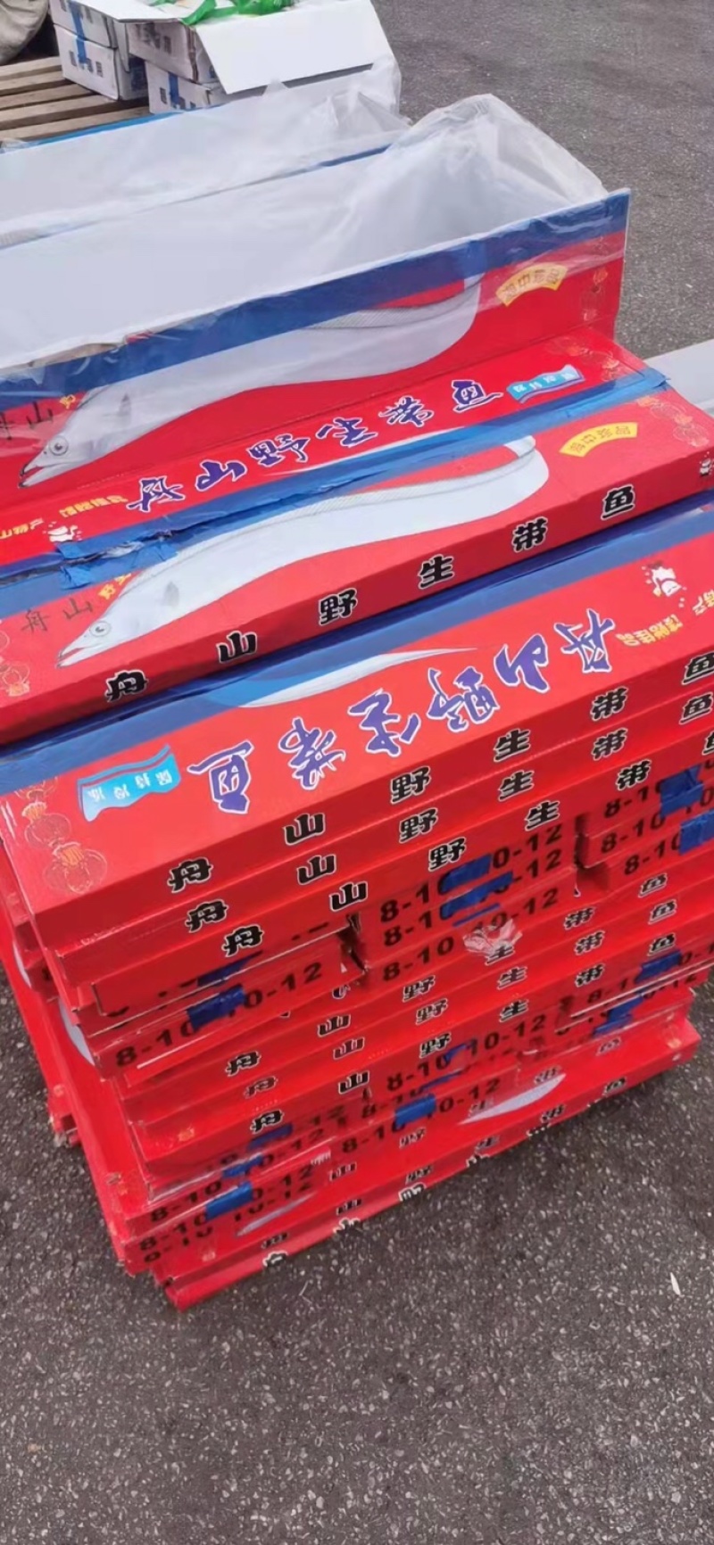 网红小带鱼小礼盒带鱼4斤装，畅销款，走量款