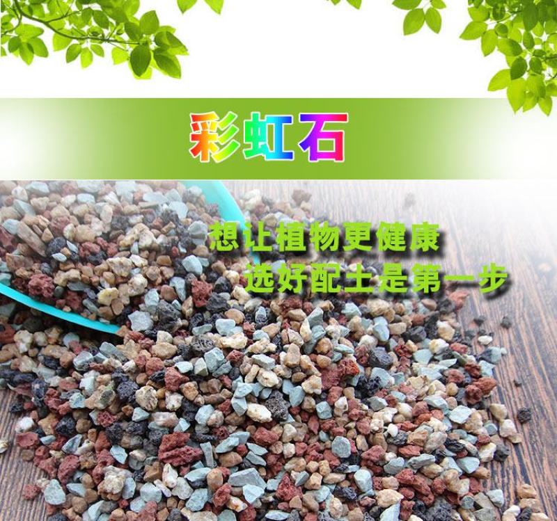 多肉植物营养土进口泥炭土多肉土叶插换盆土多肉专用土纯颗粒