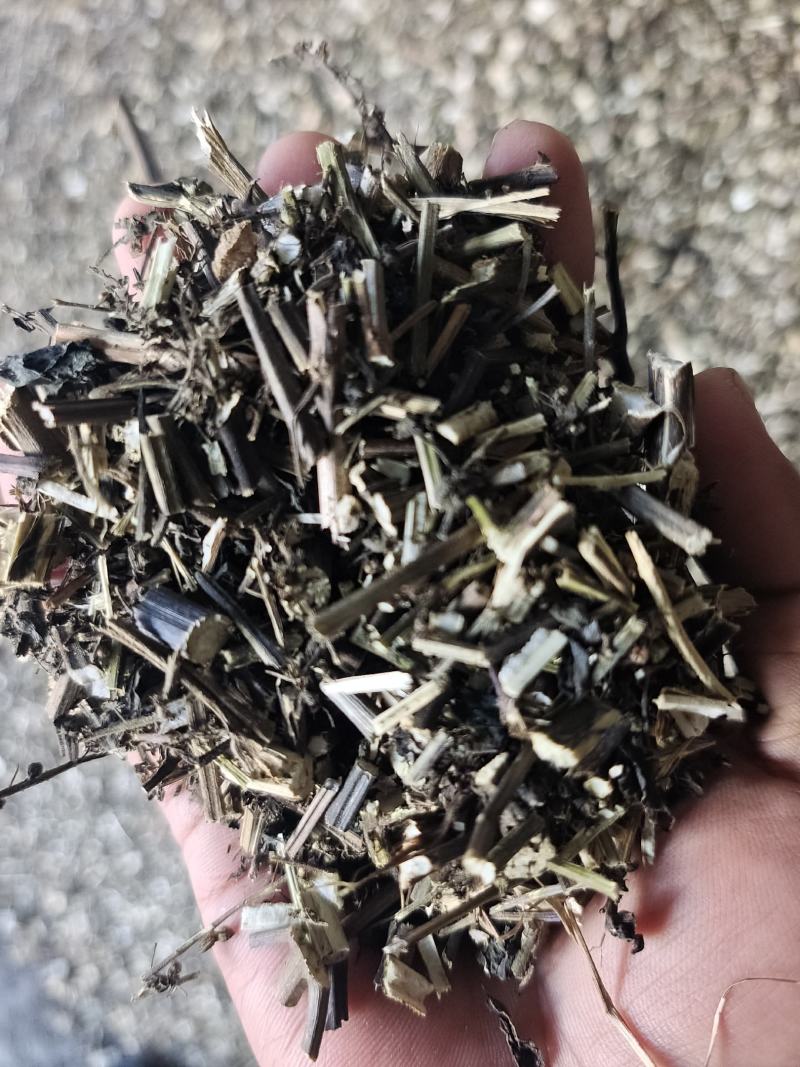 紫苏梗4～5吨，0.8的段