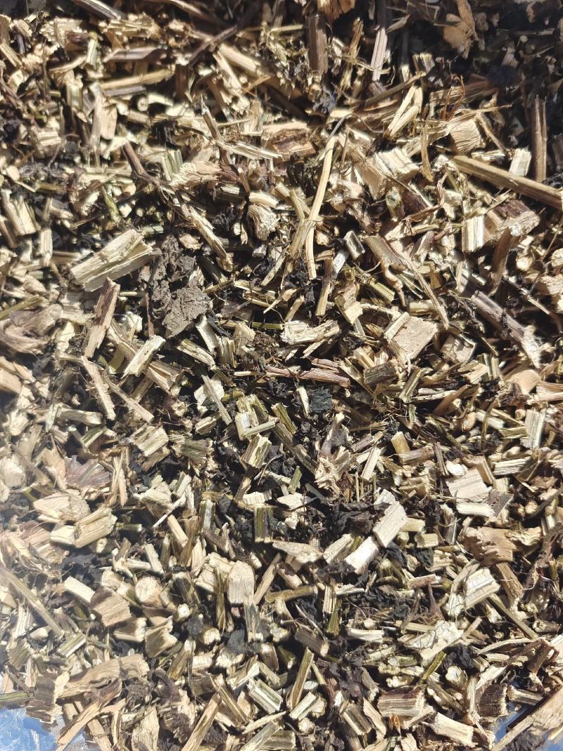 紫苏梗4～5吨，0.8的段