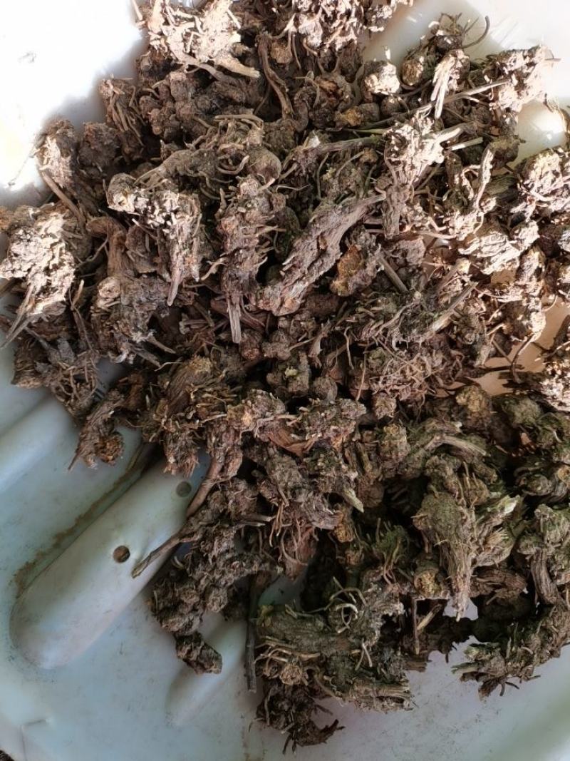苍术，朱砂点苍术，北苍术
