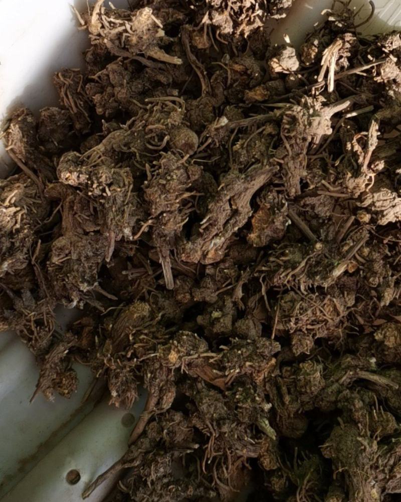 苍术，朱砂点苍术，北苍术