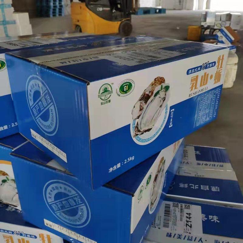 山东精品生蚝社区团购小包装落地配乳山牡蛎2.5-5斤整车