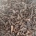 中药材香附片～质量保证～量大从优～货源充足