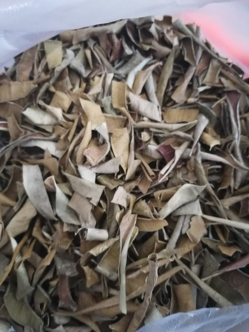 药用芦荟可泡茶芦荟干药用各种中药材批发零售各种规格中药材