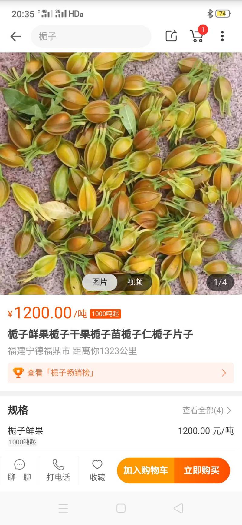 贵州遵义栀子黄栀子中药材药栀子山栀子欢迎咨询下单